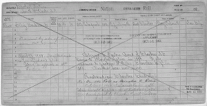 Enrollment for Cherokee Census Card D1 5 Cherokee Census Card 44-0002a