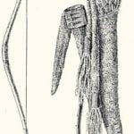 Fig. 1. Sinew-backed Bow and Quiver from the Blackfoot and a Compound Bow of Mountain Sheep Horn from the Nez Percé.