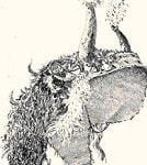 Fig. 37. Headdress of Buffalo Skin. Arapaho Women's Society