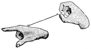 Fig. 321