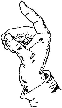 Neapolitan Signs - Sign Language – Access Genealogy