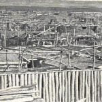 Fig. 9. Hidatsa Village in 1868.