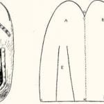 Fig. 47. Arapaho Moccasin with Symbolic Decoration.