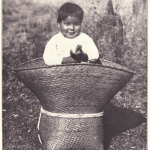 pack-basket The occupant of this basket is a full blooded Choctaw boy of about 2 years of age.