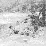 Tule women making bread from acorns