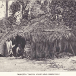 palmetto thatch house
