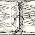 Fig. 24. A Parfleche.