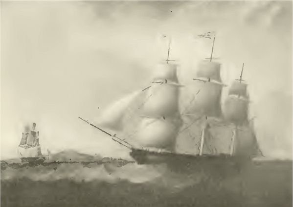 shipellenbrooks