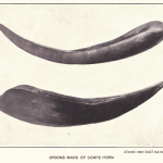 spoons spoons