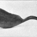 Spoon made of horn of mountain sheep. "Mandan Indians, Dacotah Ter. Drs. Gray and Matthews." Extreme length 16 1/2 inches. (U.S.N.M. 6333)
