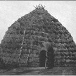 Grass-covered lodge, about 1880 (Wichita Habitations)