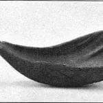 buffalo-horn-spoon Spoon, marked "buffalo horn spoon, presented by Gen. T. Duncan." Length about 10 inches. (U.S.N.M. 12259)