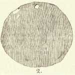 Nabikoaguna Iroquois. Fig. 2