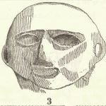 Opoaguna Azteek. Fig. 12