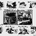 Tobacco at Jamestown