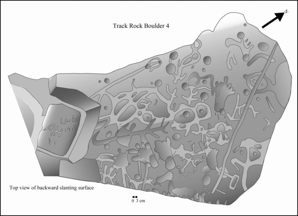 Interpretation of the Track Rock Gap Petroglyphs Access Genealogy