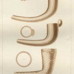 Antique Pipes - Plate 10