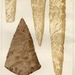 Javelin, or Indian Shemagon or Spear 1 Spear-heads - Plate 26