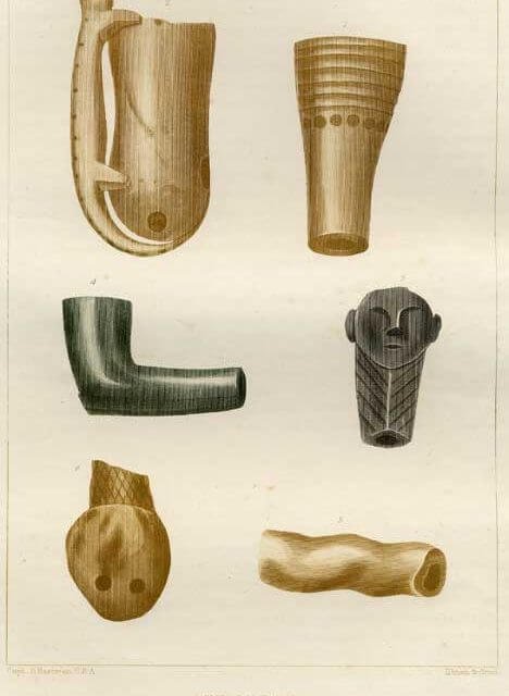 indian-pipes-access-genealogy