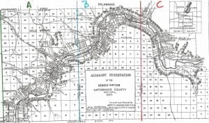 Allegany Reservation Map, 1890