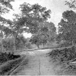 Chapel Oaks, Bird Town, Cherokee Nation