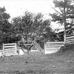 Mullberry Tree Bandstand, Eastern Cherokee Agency