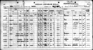 Ponca Census Image