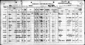 Ponca Census Image