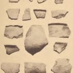 Potsherds of hard, historic Pamunkey ware.