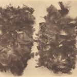 Pamunkey moccasin tops of wild-turkey feathers.