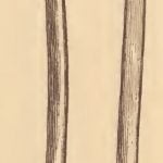 Pamunkey heron leg-bone needles