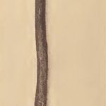 Mattaponi hafted stone tomahawk
