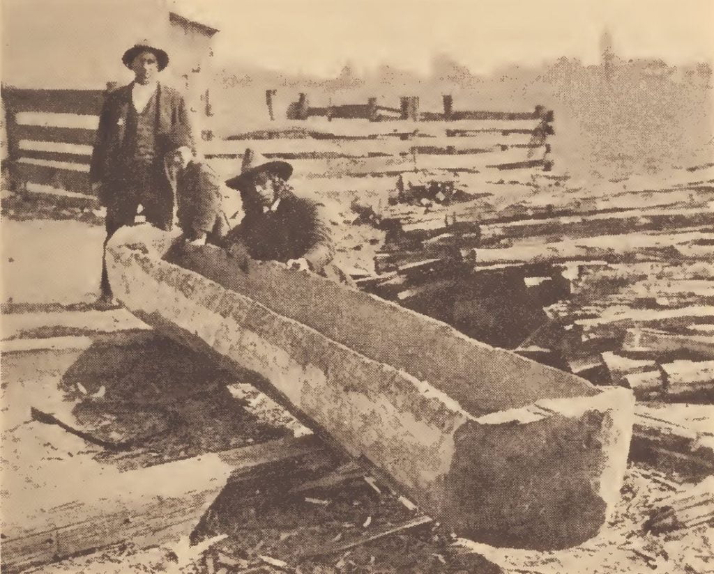 Dugout canoe of the Pamunkey in course of construction.