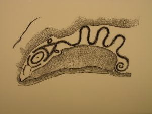 Sketch of Serpent Mound