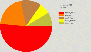 GedMatch Ethnicity Martha Payne Albertson