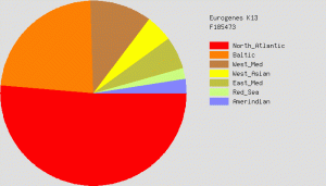GedMatch Ethnicity Plumer Duckett Ayers