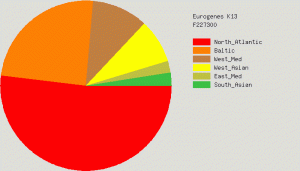 GedMatch Ethnicity William Ayers Martin