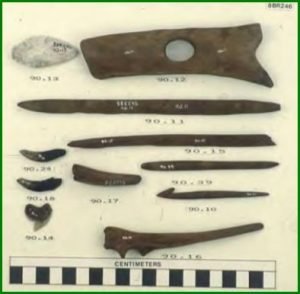 The Archaic Period of Lake Okeechobee 2 Example of Hand Tools Found