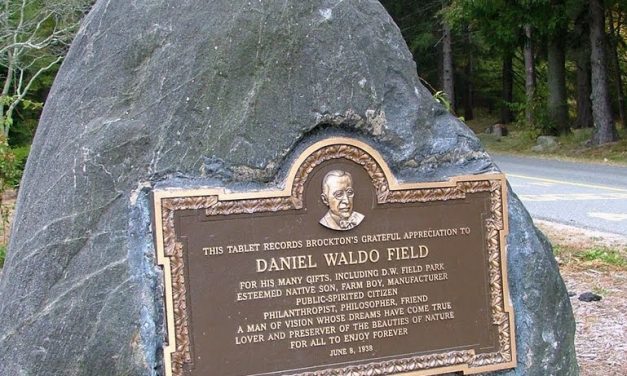 Monument for David Waldo Field