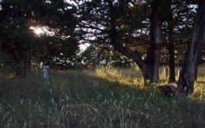 Egypt Cemetery, Pontotoc County, Oklahoma