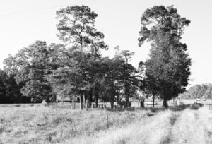 Liberty County Texas Cemeteries