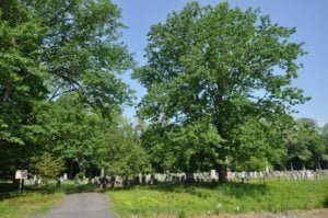 Northfield Center Cemetery, Northfield, Massachusetts