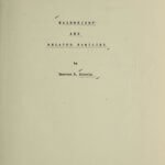 Wainwright and related families