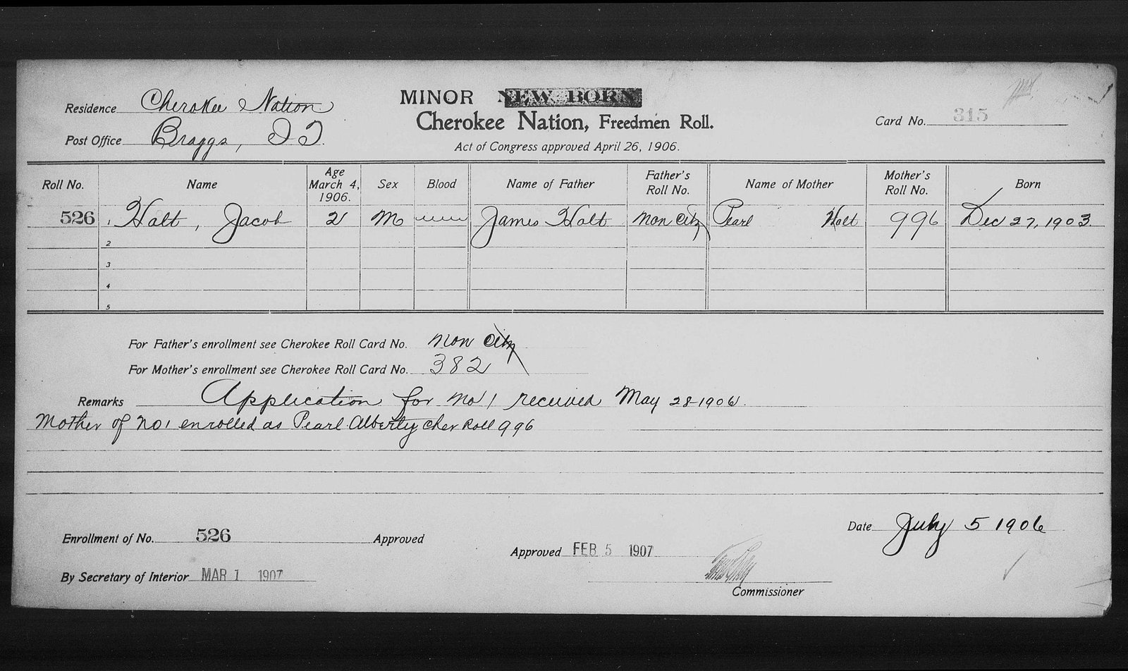 Dawes card Cherokee Minor Freedmen #315